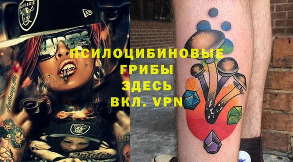 амф Богданович