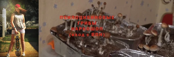 COCAINE Богородицк
