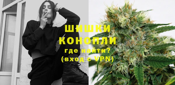 амф Богданович