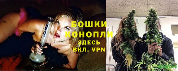 амф Богданович