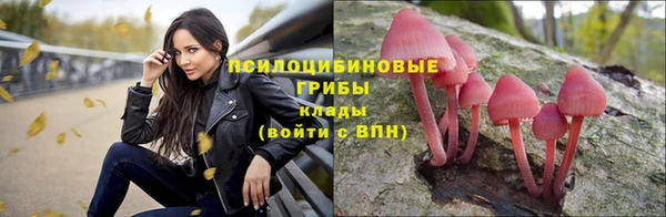 спайс Богородск